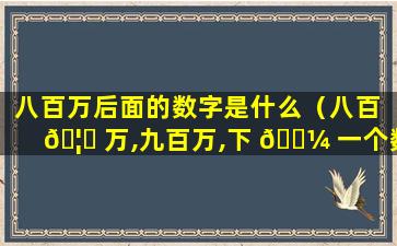 八百万后面的数字是什么（八百 🦄 万,九百万,下 🐼 一个数是多少）